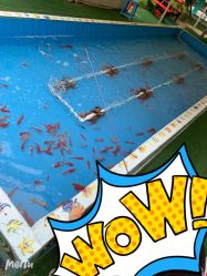 -萌宠亲子动物乐园(槐房万达店)