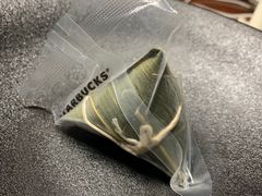 星冰粽-星巴克(佛山南海万科店)