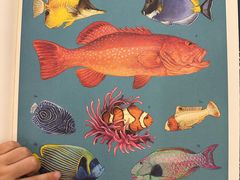 -厦门市图书馆(集美新城馆区)