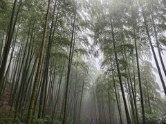 -莫干山风景区