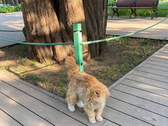 -北京市劳动人民文化宫(太庙)
