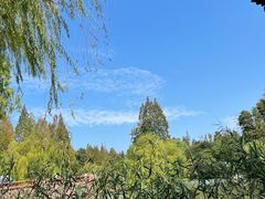 -上海滨江森林公园