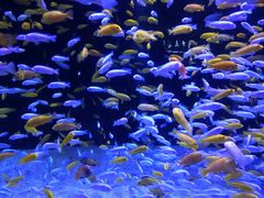 -成都浩海立方海洋公园