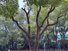 -上海瑞金洲际酒店