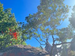 -灵岩山风景区