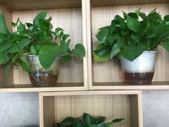 -桂林微笑堂商厦