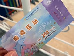 -泉城欧乐堡海洋极地世界