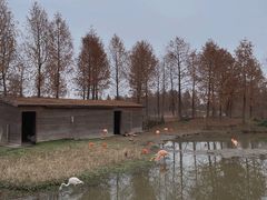 -宁波杭州湾国家湿地公园