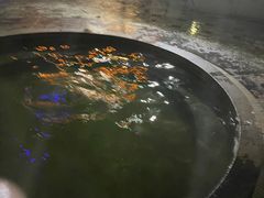 -泉眼温泉