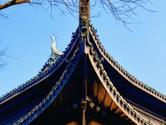 -红梅公园