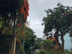 -南丫岛