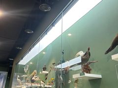 -国家自然博物馆