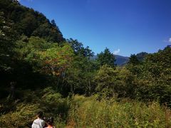 -秦岭风景区