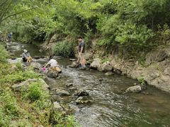 -羊山湖公园