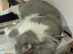 -留仙洞(地铁站)