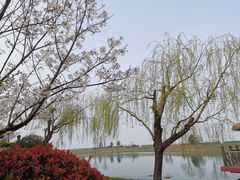 -苏州湾王焰温泉度假酒店