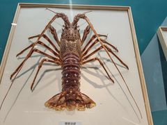 -陕西自然博物馆