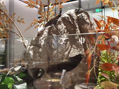 -绿茶餐厅(青岛城阳万象汇店)