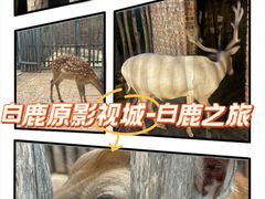 -白鹿原影视城