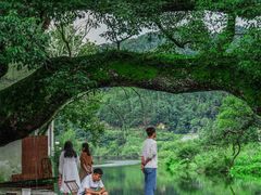 -上坦村