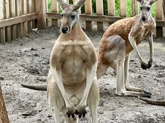 -水上乐园·欢乐世界