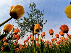 -长春公园(普阳街道)