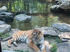 -北京野生动物园