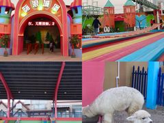 -巨鹏飞梦幻海岸