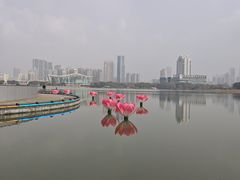 -月湖风景区