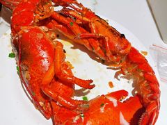 -雍容荟活帝王蟹活龙虾自助(苏宁旗舰店)