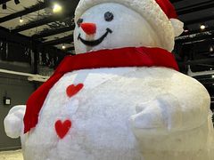 -宁波冰雪大世界(北仑区)