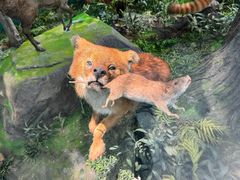 -国家自然博物馆