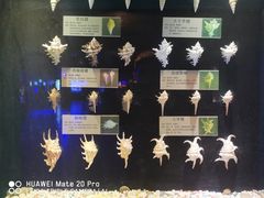 -大连圣亚海洋世界