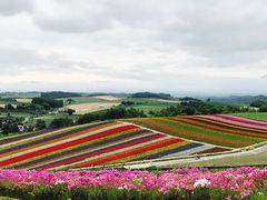 -富田农场