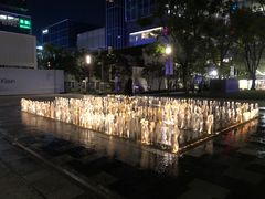 -上海静安香格里拉大酒店