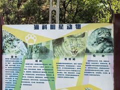 -青藏高原野生动物园