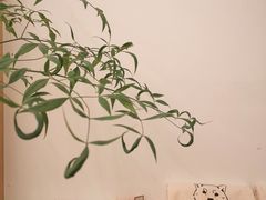 -Onirii Coffee(长乐路店)