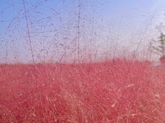 -汉长安城未央宫国家考古遗址公园