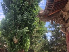 -张掖大佛寺景区