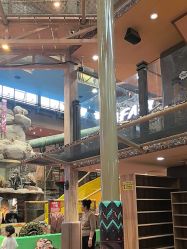 -卡通尼·Safari非洲探索乐园·生日会(金桥国际商业广场店)