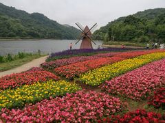 -广州市石门国家森林公园