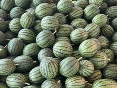 -庞各庄翠芳园西瓜蔬菜基地采摘园