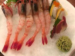 刺身拼盘-鳥炭·烧鸟YaKiToRi深夜食堂(陆家嘴店)