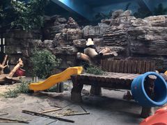 -石家庄市动物园