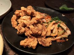 酥肉-毛辣果·酸