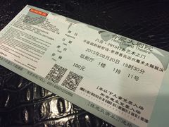 -合肥大剧院