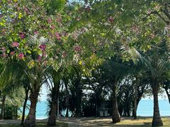 -三亚海棠湾万丽度假酒店