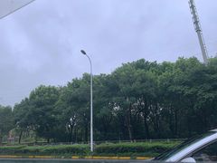 -宝珠奶酪(浦东金桥店)