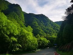 -五女峰国家森林公园