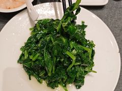 -新吉士·上海菜(浦东LCM置汇旭辉店)